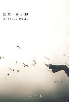 送你一颗子弹 Send You A Bullet cover